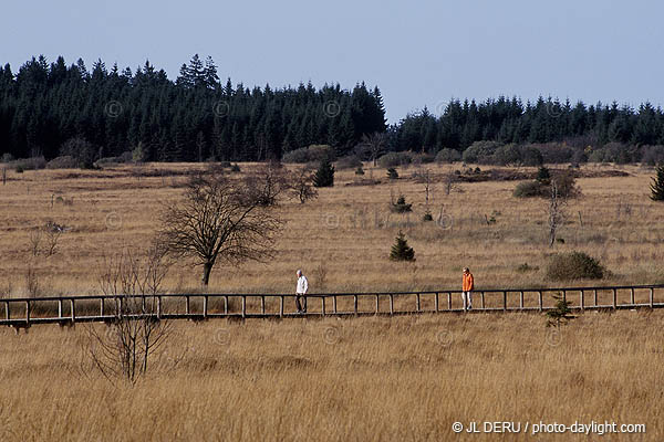 les Hautes Fagnes